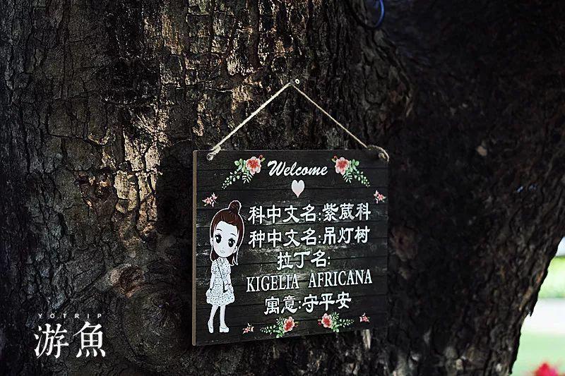 战争机器4